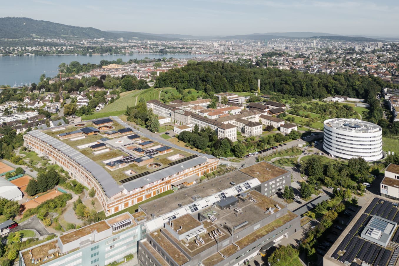 erea Baumanagement GmbH